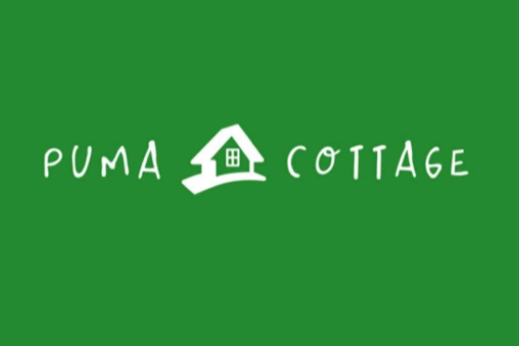 Puma Cottage Horcón 외부 사진